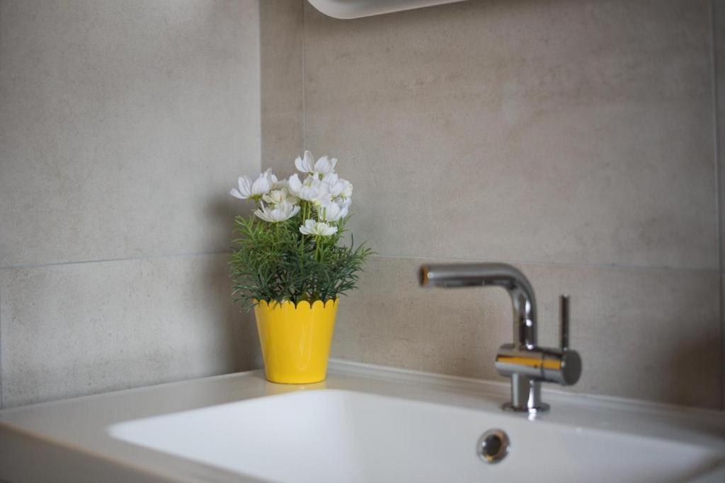 Apartments Dream In Arena 1 Pula Center Free Parking Екстер'єр фото